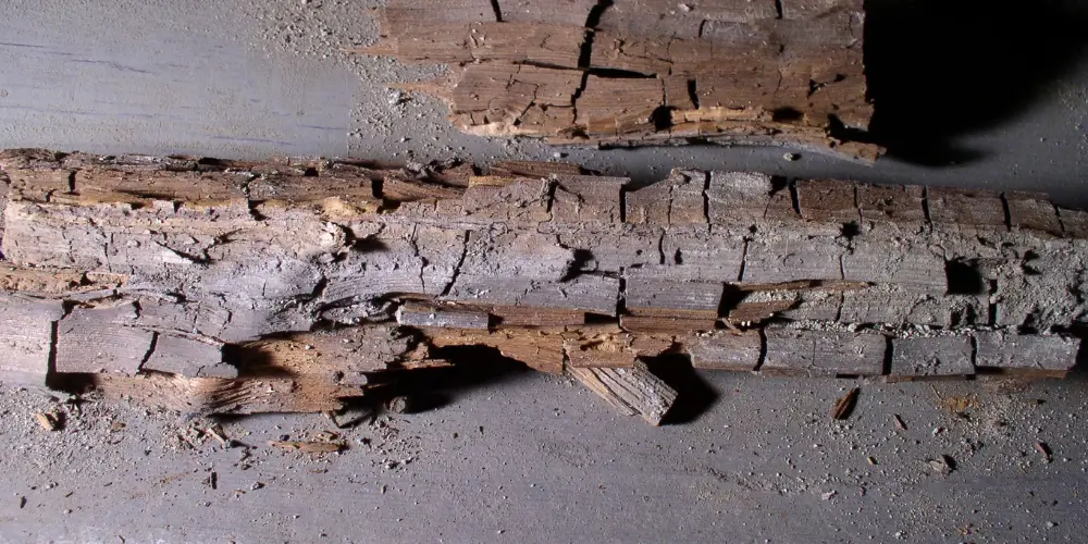 Damaged wood caused by Dry Rot