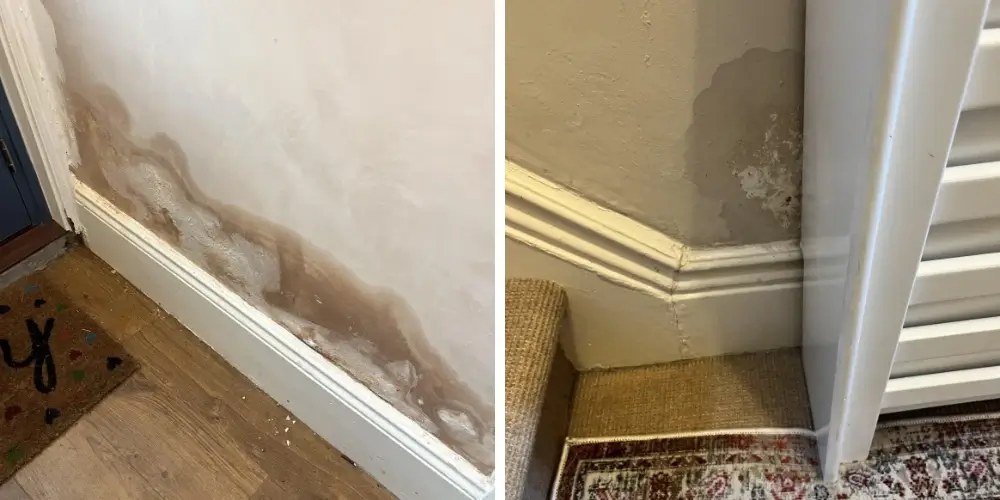 Signs of rising damp include damp patches and salt crystals forming on walls.