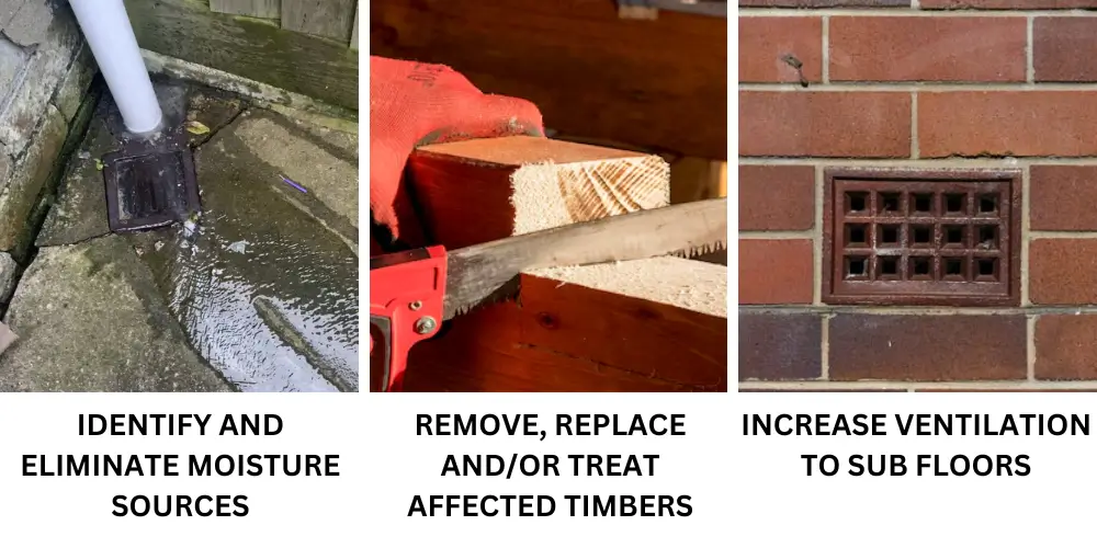 How to Treat Dry Rot:  Identify and eliminate moisture sources, treat and/or replace affected timbers and increase sub floor ventilation.