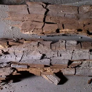 Wet Rot and Dry Rot Treatments